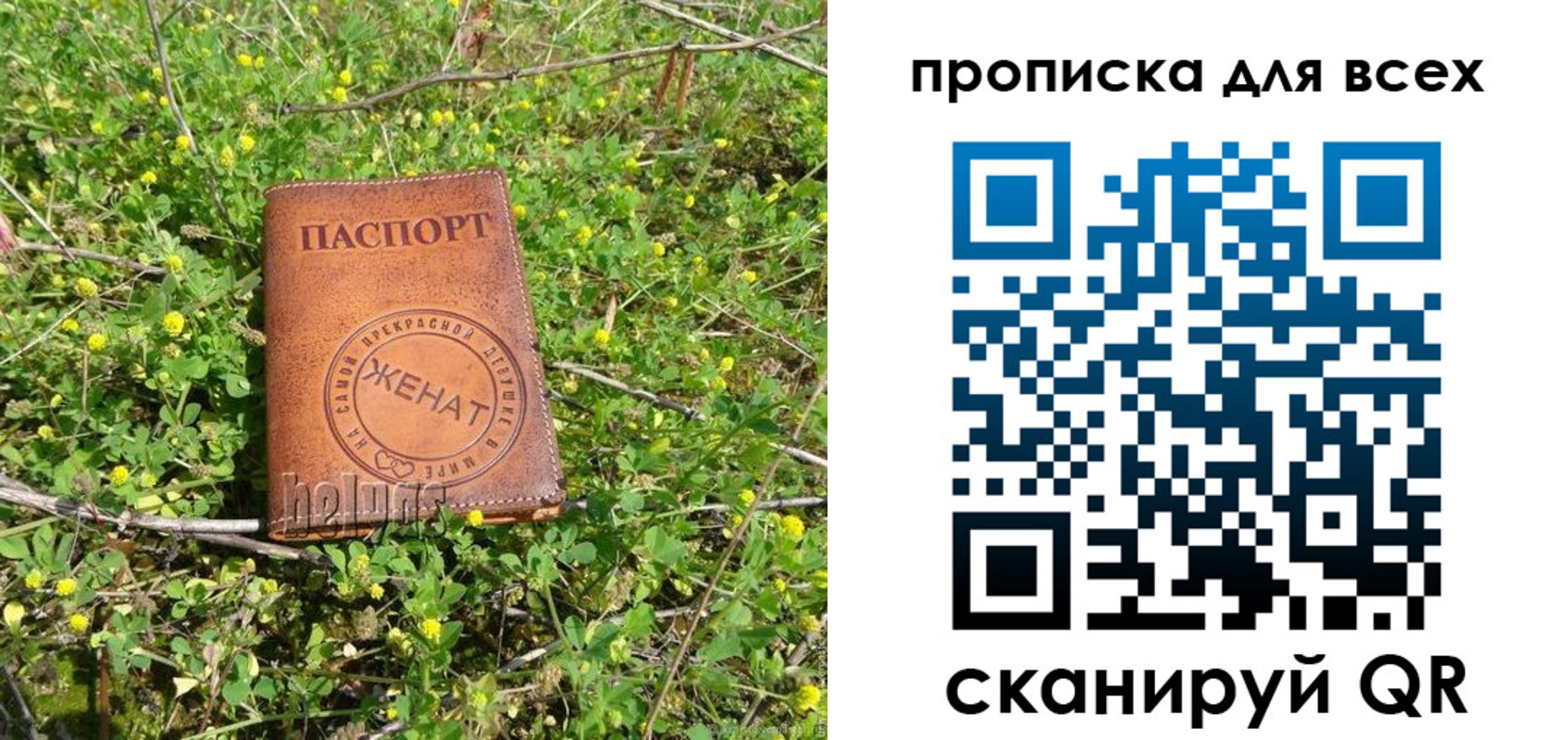 прописка поиск в Бикине